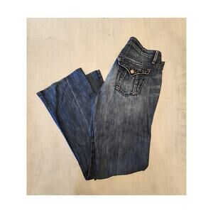 Joe's Women's Denim SZ 29 Rocker Low Rise Flare Leg Y2K Embroidery